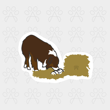 BARN HUNT STICKER